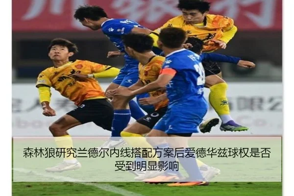 森林狼研究兰德尔内线搭配方案后爱德华兹球权是否受到明显影响