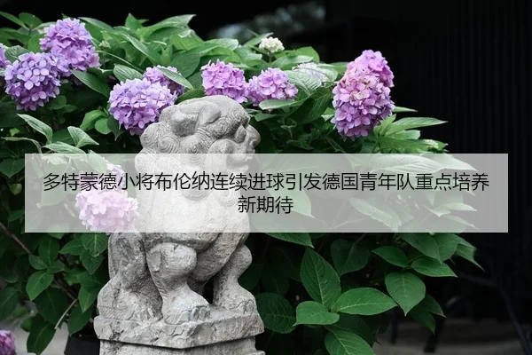 多特蒙德小将布伦纳连续进球引发德国青年队重点培养新期待