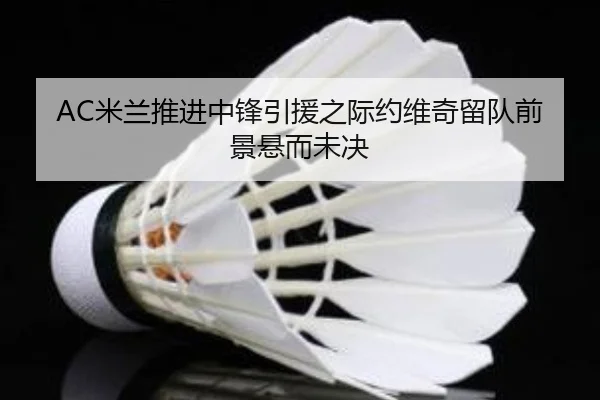 AC米兰推进中锋引援之际约维奇留队前景悬而未决